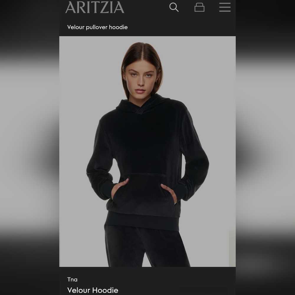 ARITZIA TNA Velour Pullover Hoodie,Cozy Plush,L